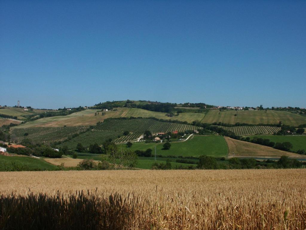 Vila A3Passi Ancona Exteriér fotografie