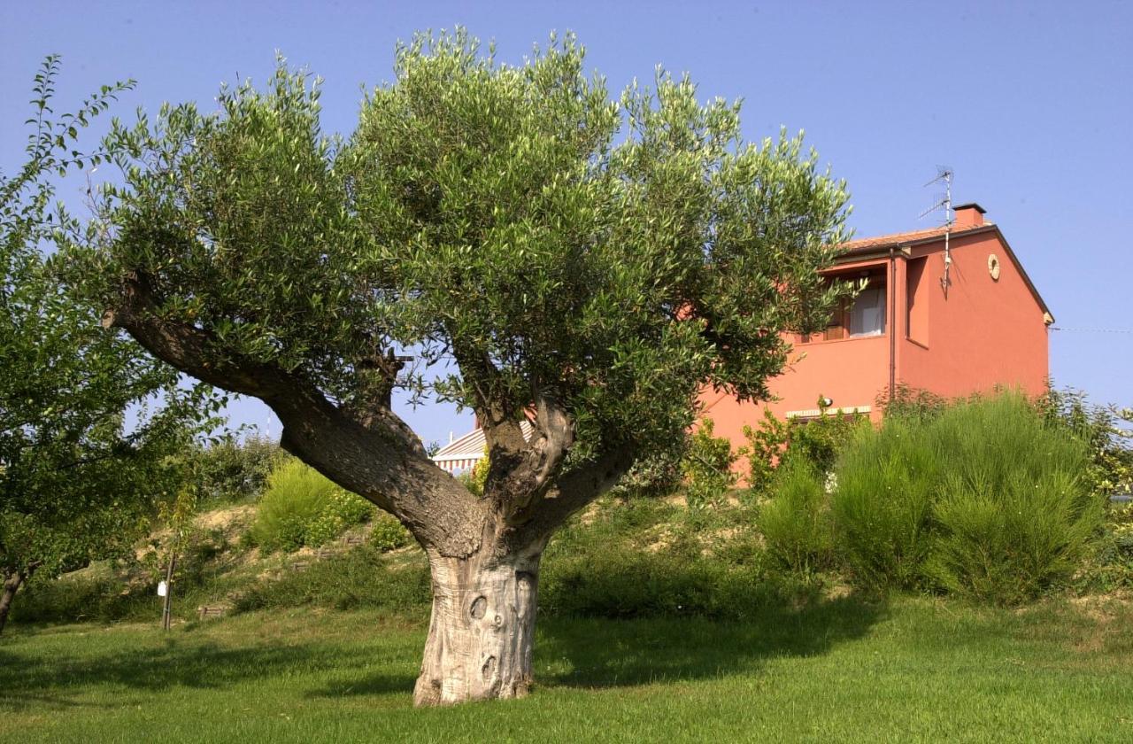 Vila A3Passi Ancona Exteriér fotografie